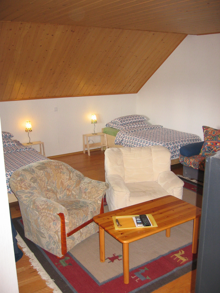 zimmer1a